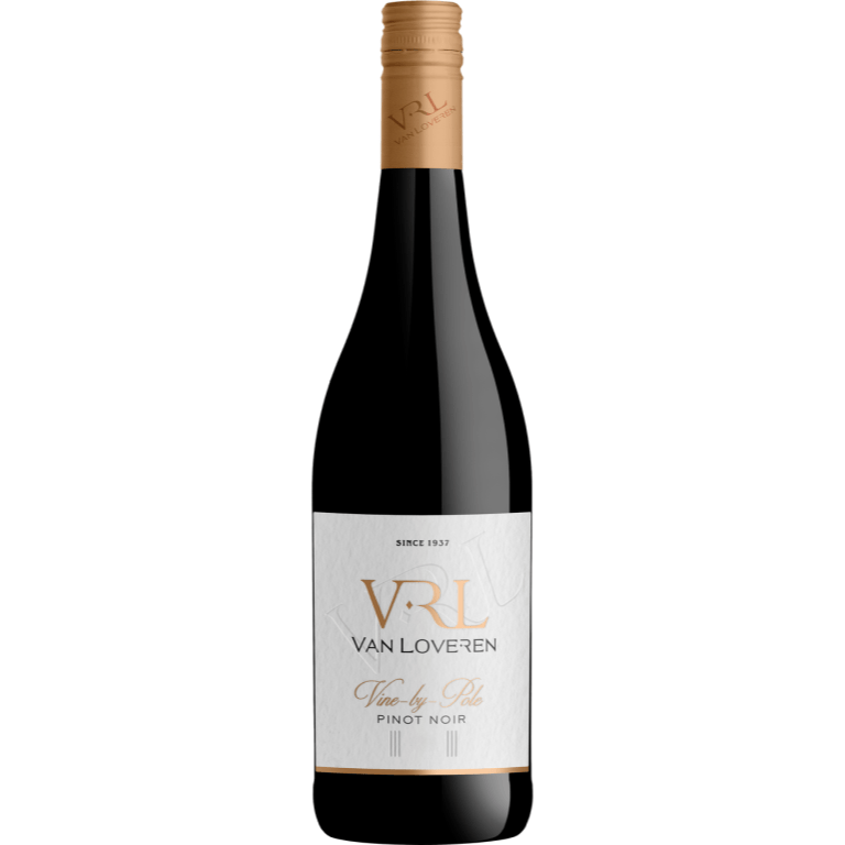 Van Loveren Vine by Pole |Pinot Noir